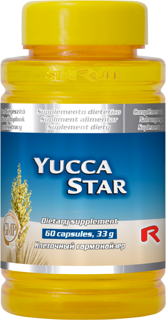 YUCCA STAR